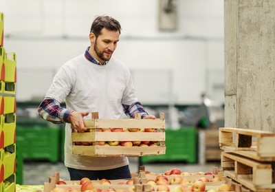 Fruit& vegetable warehouse worker (EPT and Forklift experience)
