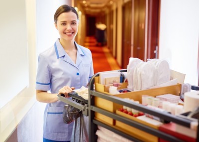 German speaking cleaner with DL