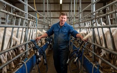 Farmmunkás (Kecskefejés)