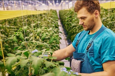 Greenhouse Employee