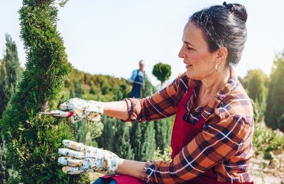 Универсален служител в разсадник за дървета