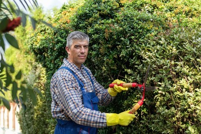 Jardineiro com experiência