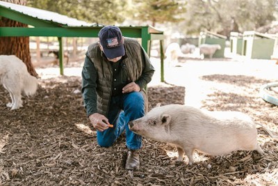 Pig farm worker