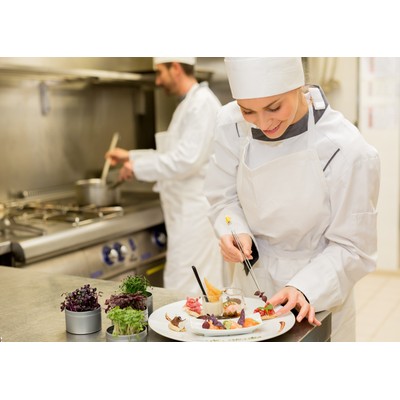 Chef de Partie (Culinary school diploma and clean criminal record)