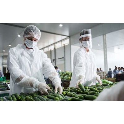 Production Worker for Fruits and Vegetables (with experience)
